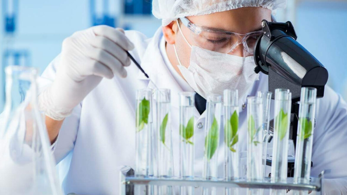 Cấu trúc chuẩn của một đề tài luận án tiến sĩ công nghệ sinh học, bao gồm 6 phần quan trọng mà mọi NCS đều phải nắm rõ.