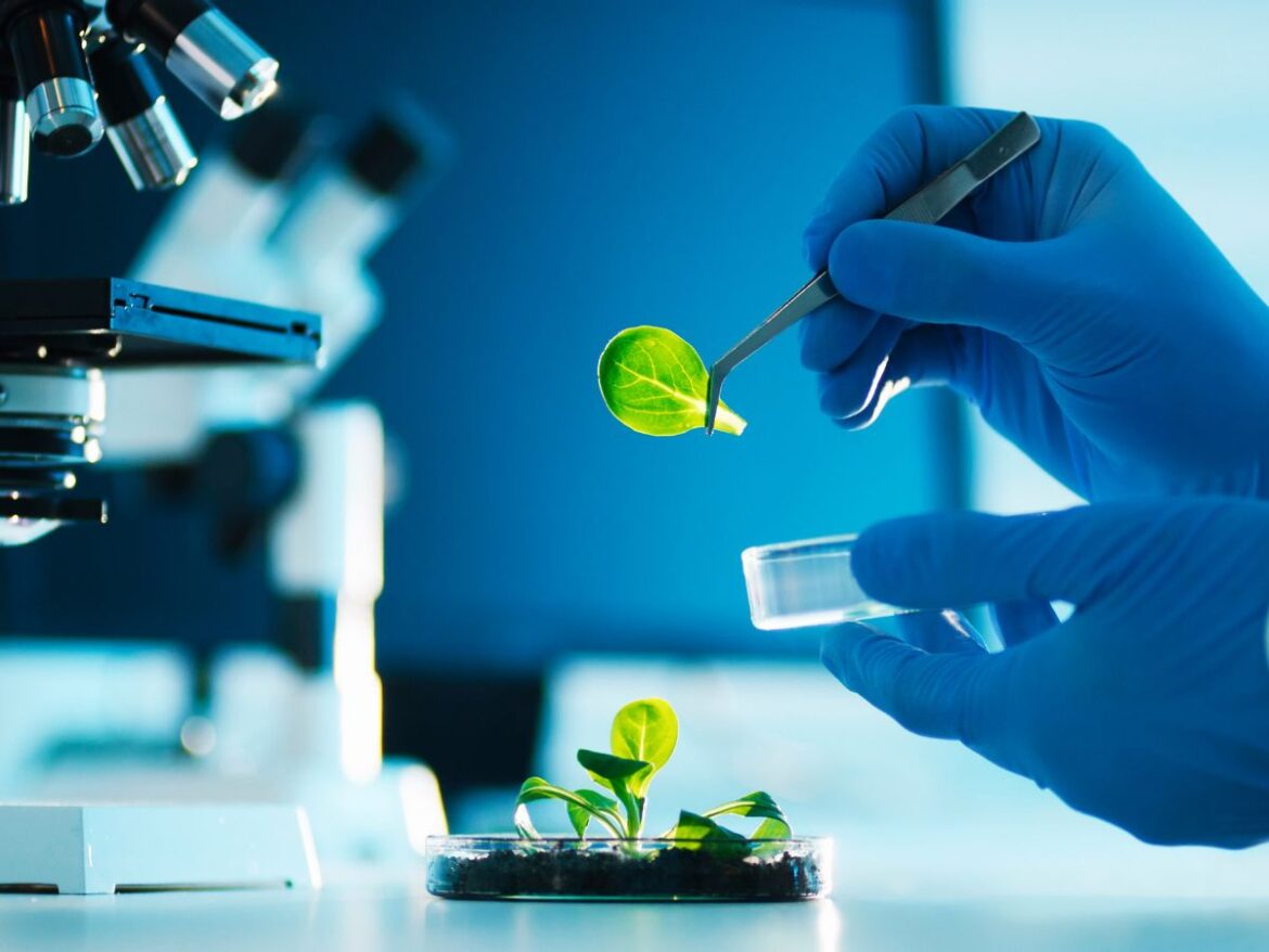 5 tiêu chí quan trọng để lựa chọn đề tài luận án tiến sĩ công nghệ sinh học chuẩn nhất, phù hợp với yêu cầu của các trường đào tạo tiến sĩ và tiêu chuẩn công bố quốc tế.